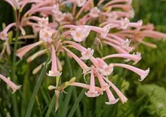 まっちゃん様 リクエスト 2点 まとめ商品