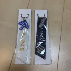 SEKAI NO OWARI R.A.I.N.S フライトタグ キーホルダーのサムネイル