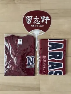 礼賛 RAISAN 武道館ライブ Tシャツ タオル ラババン　ペンライト　セット 礼賛 RAISAN 武道館ライブ Tシャツ タオル ラババン ペンライト セット