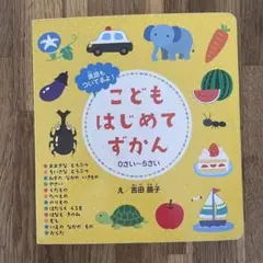 こどもはじめてずかん