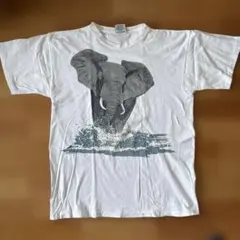 Item thumbnail for item 24b7660b-1b6e-4c56-a9dc-3d75d0ff6dd9