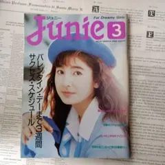 Junie ジュニー　1988年1月　1988年2月　2冊セット Junie ジュニー 1988年1月 1988年2月 2冊セット Junie ジュニー 1988