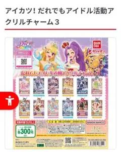 アイカツ！ アクリルチャーム 10個セット