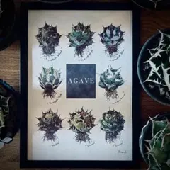 2026年最新】アカベ白犀牛の人気アイテム - メルカリ