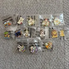 ディズニーランド　ピンバッジ　チャームセット14点