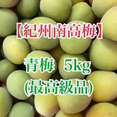 お得用‼️和歌山県産 完熟南高梅 2L.Lサイズ 5kg みかんキング - メルカリ