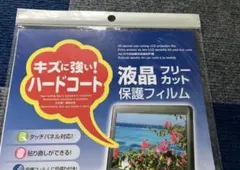 Item thumbnail for item ef27d99d-36ac-4197-8161-de776398a1d0