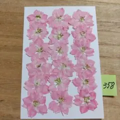 押し花〈千鳥草〉ピンク 358