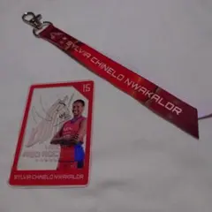 Item thumbnail for item f2514cea-4233-45ac-ae57-b17b69f28213