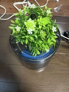 猫用 自動給水器 爬虫類にものサムネイル