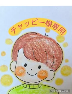 ☆チャッピー様専用☆