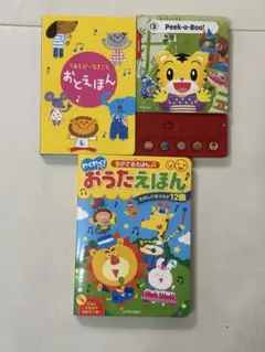 Item thumbnail for item 9e00c613-0f1b-4a62-b457-066a4d9587a7