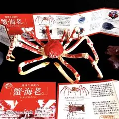 激レア 蟹 海老フィギュアコレクション地球生命紀行 タカアシガニほか4体セットのサムネイル