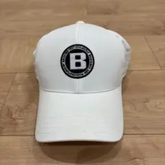 BRIEFING GOLF ブリーフィングゴルフパンチングメッシュ キャップ白