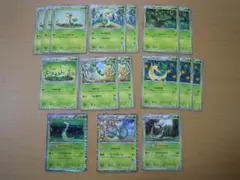 ポケモンカード ツタージャ ジャノビー ジャローダ 計16枚