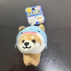 マメしば ジンベエザメ 沖縄限定 ぬいぐるみストラップ