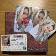 THE SIN:VANISH (FUGITIVES Ver.) ニキ トレカ