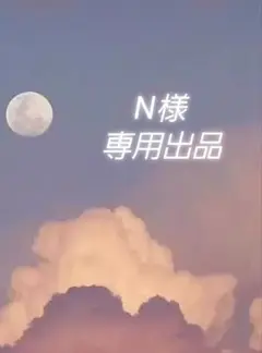 N様 リクエスト 2点 まとめ商品