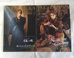 宝塚 宙組 パンフレット 2冊セット