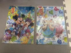 ディズニー夏祭2017 A4クリアファイル 2枚セット