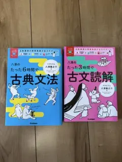 八澤のたった6時間で古典文法・古文読解セット　別冊付き