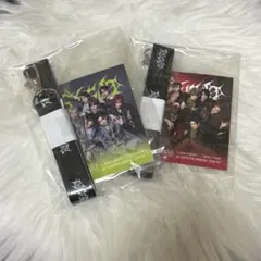 龍宮城 トヨアリ スペシャルグッズ パス&ネックストラップ 2点セット