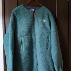本日限定‼️THE NORTH FACE パープルレーベルフリース ブルー
