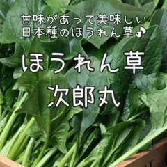 かず様 リクエスト 2点 まとめ商品