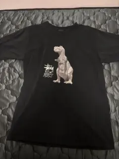 STUSSY BIG and MEATY Tシャツ ブラック M