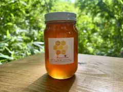 天然熟成1年　希少　日本蜜蜂 国産天然はちみつ100%300g(M1Y1箱)のサムネイル