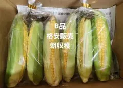 とうもろこし12本【ゴールドラッシュ】朝採り　訳ありのサムネイル