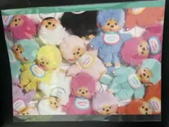 モンチッチ 2026年 カレンダー モンチッチ カラーズ COLORS