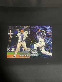 Item thumbnail for item 12236a2e-ad6b-425c-bfe5-3f584095ddd2