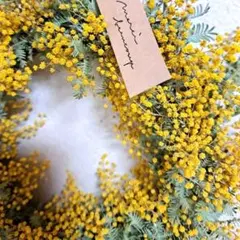 Item thumbnail for item 7bf9fad0-c8ff-4d41-854a-f8b3127393b9