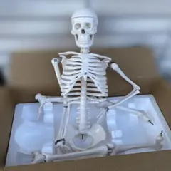 Item thumbnail for item c6fa3db3-b9ed-446e-9199-9c56e044519e