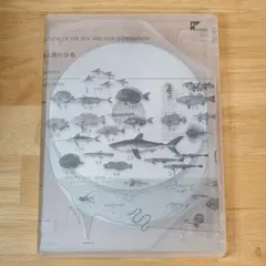 Sekaimen 世界門-日本代購、代標、代運、Yahoo拍賣| 吉川資訊有限公司