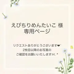 えびちりめんたいこ様 おまとめ2点