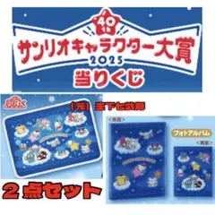 サンリオキャラクター大賞当りくじ 2点セット