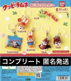 「全6種」 クッピーラムネ めじるしアクセサリー