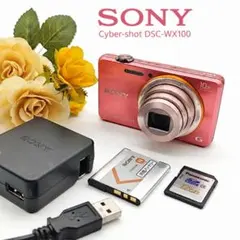 2026年最新】sony dsc-wx100の人気アイテム - メルカリ
