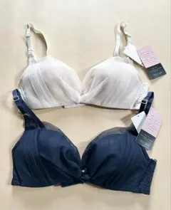 Item thumbnail for item 2fb6826f-4409-4ebe-9771-3903ea4ebf6c