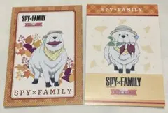 SPY×FAMILY ボンド　スイパラ　ポストカード