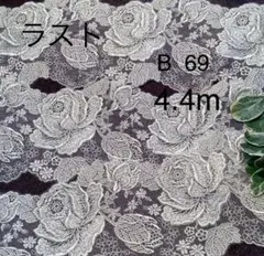 B 69 チュールレース