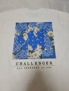 XL CHALLENGER DAISY TEE 長瀬智也 - メルカリ