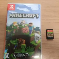 Minecraft Nintendo Switch版