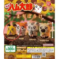 ハム太郎 まちぼうけ ちび丸ちゃん