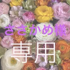 ささかめ様 リクエスト 2点 まとめ商品