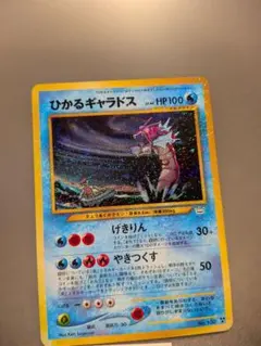 2026年最新】ひかるギャラドスの人気アイテム - メルカリ