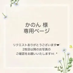 かのん様 おまとめ2点