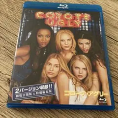 コヨーテ・アグリー('00米)